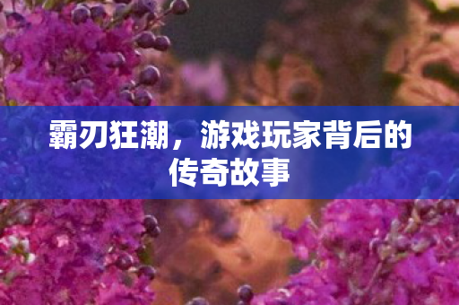 游戏玩家背后的传奇故事图片