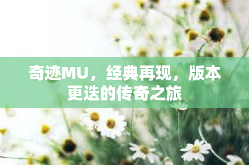 版本更迭的传奇之旅图片