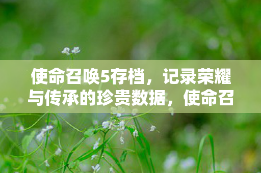 使命召唤5存档，记录荣耀与传承的珍贵数据，使命召唤5存档，记录荣耀与传承的珍贵数据