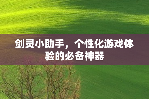 个性化游戏体验的必备神器图片
