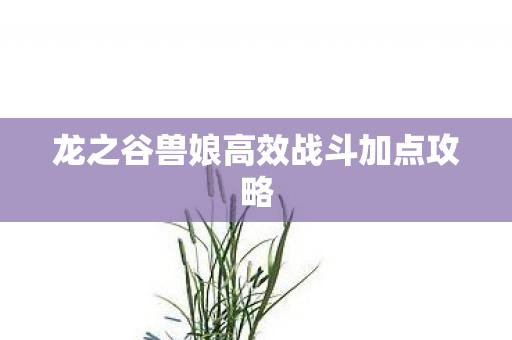 龙之谷兽娘高效战斗加点攻略图片