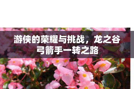 龙之谷弓箭手一转之路图片