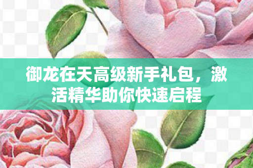 御龙在天高级新手礼包图片