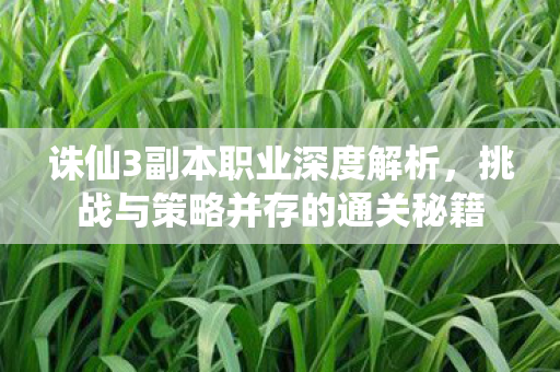 挑战与策略并存的通关秘籍图片
