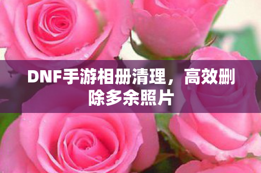 DNF手游相册清理图片