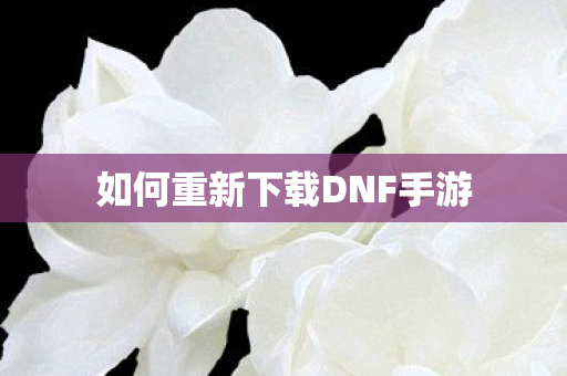 如何重新下载DNF手游图片