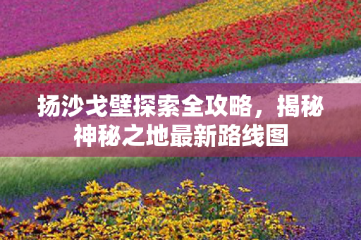 揭秘神秘之地最新路线图图片