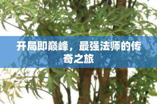 最强法师的传奇之旅图片