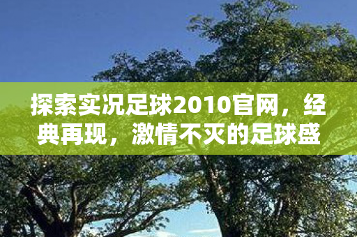 探索实况足球2010官网,经典再现,激情不灭的足球盛宴,经典再现!实况足球2010官网带你重温激情不灭的足球盛宴 探索实况足球2010官网,经典再现,激情不灭的足球盛宴,经典再现!实况足球2010官网带你重温激情不灭的足球盛宴