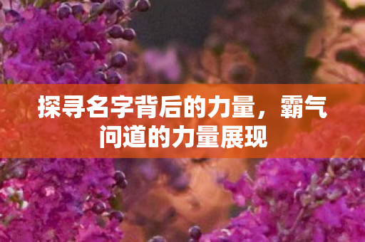 探寻名字背后的力量图片