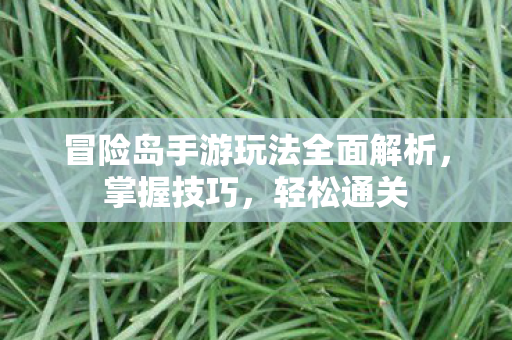 冒险岛手游玩法全面解析图片