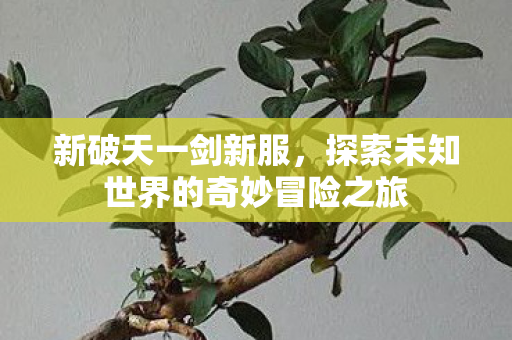 探索未知世界的奇妙冒险之旅图片