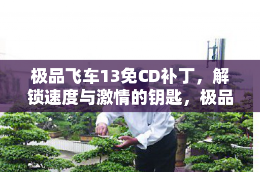 极品飞车13免CD补丁图片