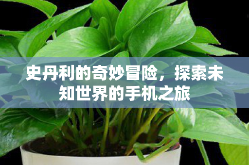 探索未知世界的手机之旅图片