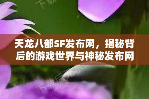 天龙八部SF发布网,揭秘背后的游戏世界与神秘发布网络 天龙八部SF发布网,揭秘背后的游戏世界与神秘发布网络