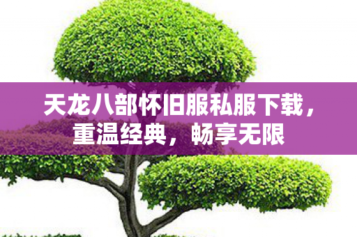 天龙八部怀旧服私服下载图片