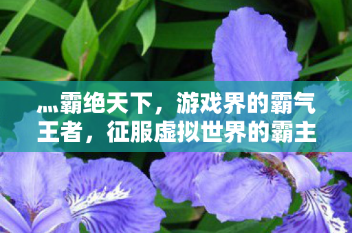征服虚拟世界的霸主图片