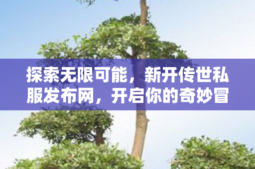 开启你的奇妙冒险之旅图片