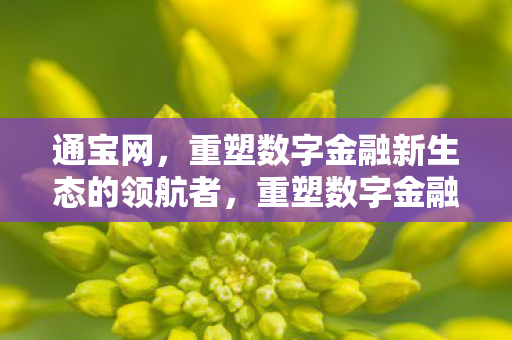 通宝网，重塑数字金融新生态的领航者，重塑数字金融新生态的领航者，通宝网
