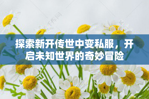 开启未知世界的奇妙冒险图片