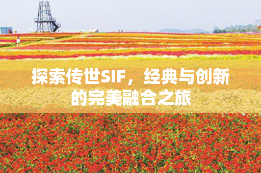 经典与创新的完美融合之旅图片