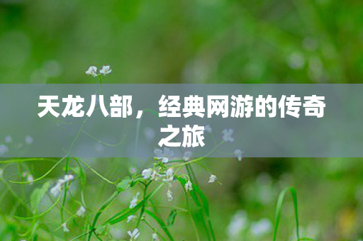 经典网游的传奇之旅图片