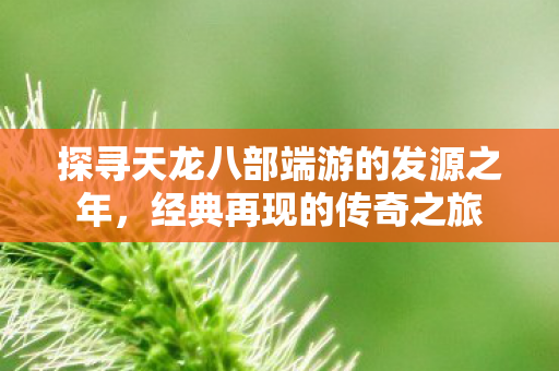 探寻天龙八部端游的发源之年图片