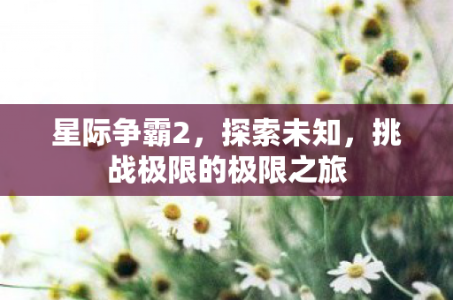 挑战极限的极限之旅图片