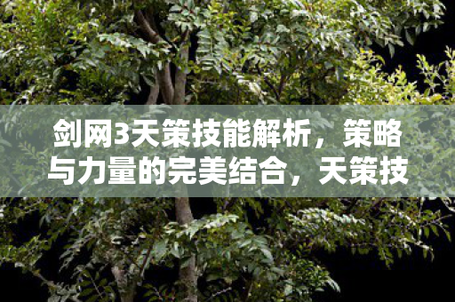 策略与力量的完美结合图片