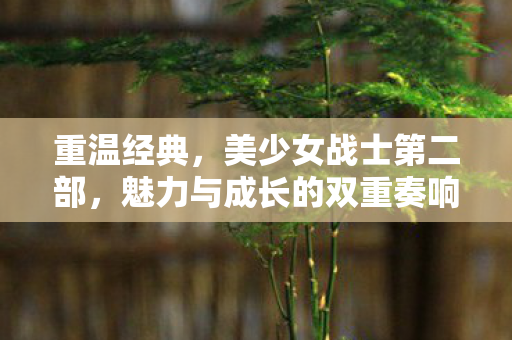 魅力与成长的双重奏响图片