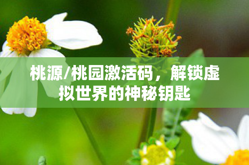 解锁虚拟世界的神秘钥匙图片