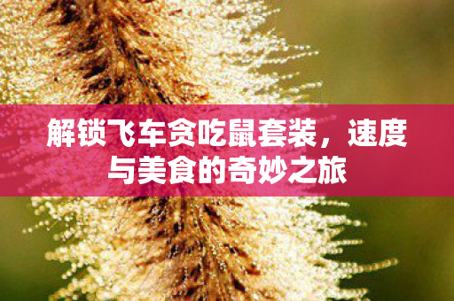 速度与美食的奇妙之旅图片
