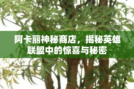揭秘英雄联盟中的惊喜与秘密图片