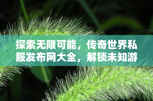 传奇世界私服发布网大全图片