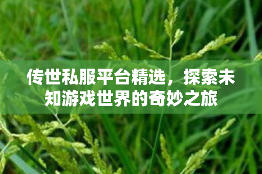探索未知游戏世界的奇妙之旅图片