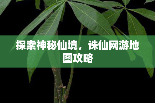 诛仙网游地图攻略图片