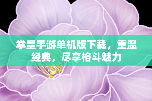 拳皇手游单机版下载,重温经典,尽享格斗魅力 拳皇手游单机版下载,重温经典,尽享格斗魅力