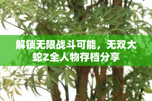 无双大蛇Z全人物存档分享图片