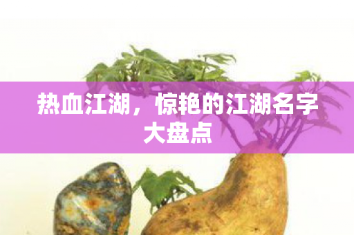 惊艳的江湖名字大盘点图片