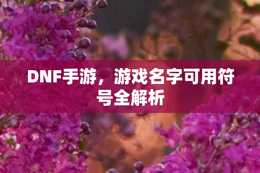 DNF手游，游戏名字可用符号全解析