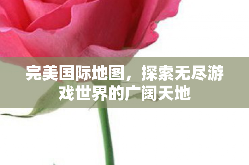 探索无尽游戏世界的广阔天地图片