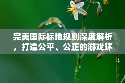 完美国际标地规则深度解析图片