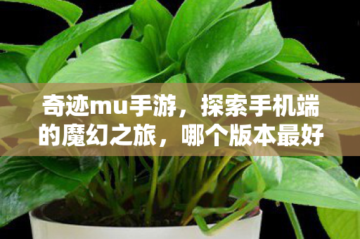 奇迹mu手游,探索手机端的魔幻之旅,哪个版本最好玩? 奇迹mu手游,探索手机端的魔幻之旅,哪个版本最好玩?
