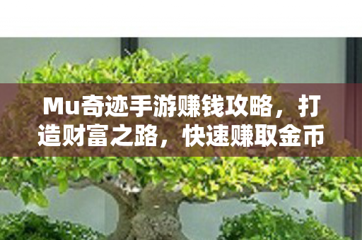 Mu奇迹手游赚钱攻略,打造财富之路,快速赚取金币与财富 Mu奇迹手游赚钱攻略,打造财富之路,快速赚取金币与财富