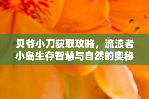 流浪者小岛生存智慧与自然的奥秘图片