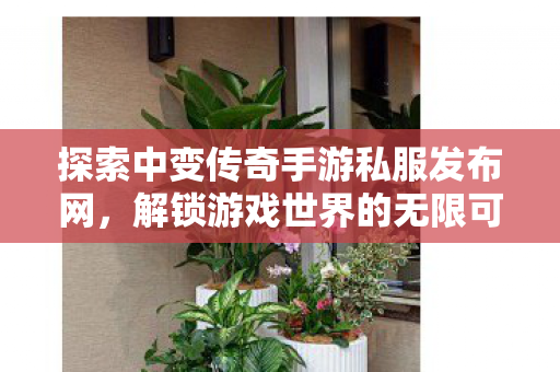 探索中变传奇手游私服发布网图片