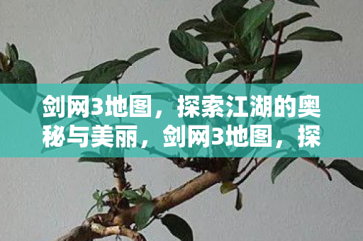 探索江湖的奥秘与美丽图片