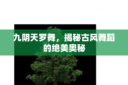 揭秘古风舞蹈的绝美奥秘图片