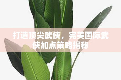 完美国际武侠加点策略揭秘图片