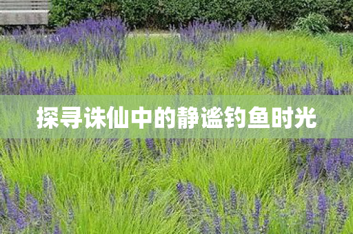 探寻诛仙中的静谧钓鱼时光图片